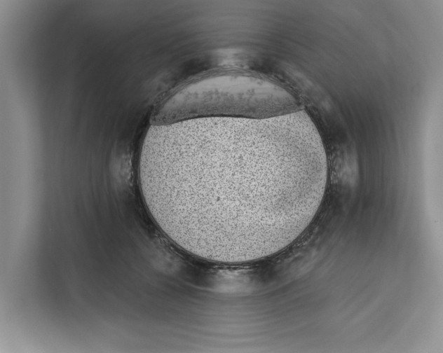 X0000110860560200907161359
