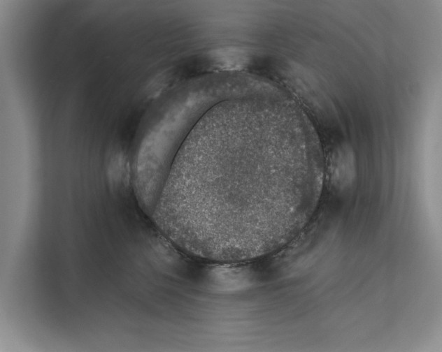 X0000110860568200907161359