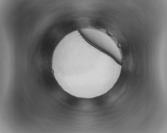 X0000110860572200907161359