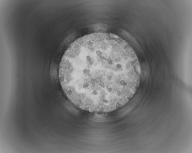 X0000110860573200907161359