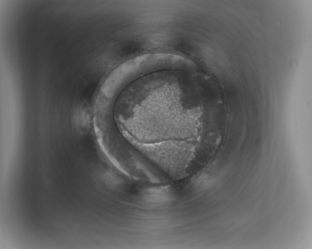 X0000110860576200907161359