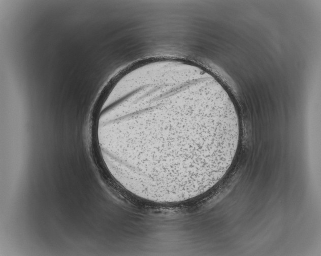 X0000110860580200907161358
