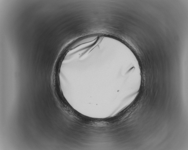 X0000110860583200907161358