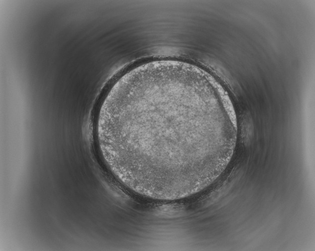 X0000110860584200907161358
