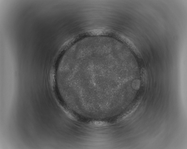 X0000110860590200907161358