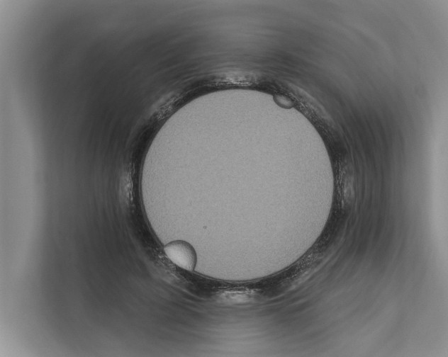 X0000110860595200907161358
