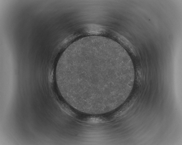 X0000110860596200907161358
