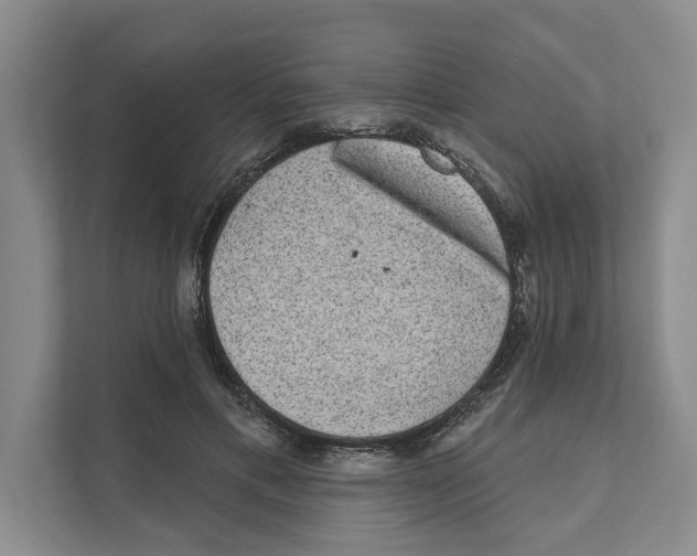 X0000110860597200907161358