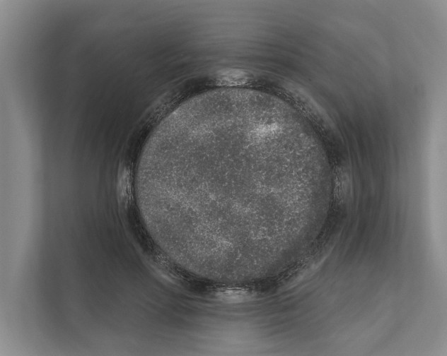 X0000110860598200907161358