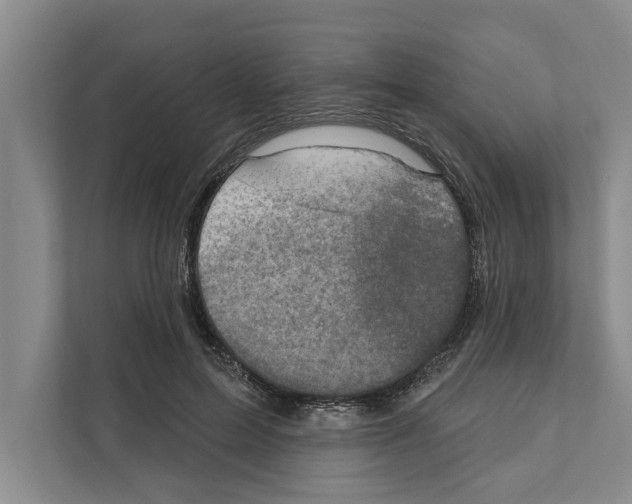 X0000110860599200907161358