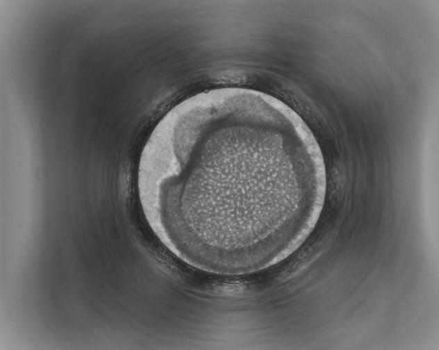 X0000110860600200907161358