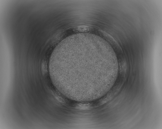 X0000110860606200907161358