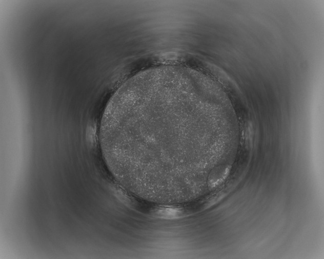 X0000110860610200907161358