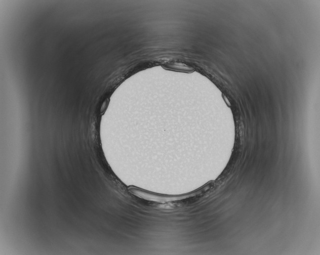 X0000110860611200907161358