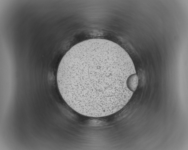 X0000110860614200907161358