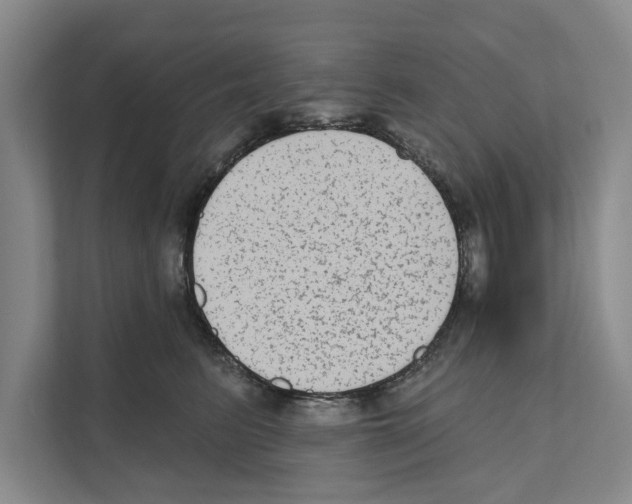 X0000110860615200907161358