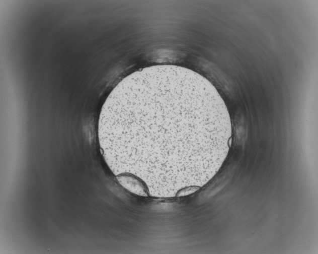 X0000110860620200907161358