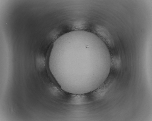 X0000110860621200907161358