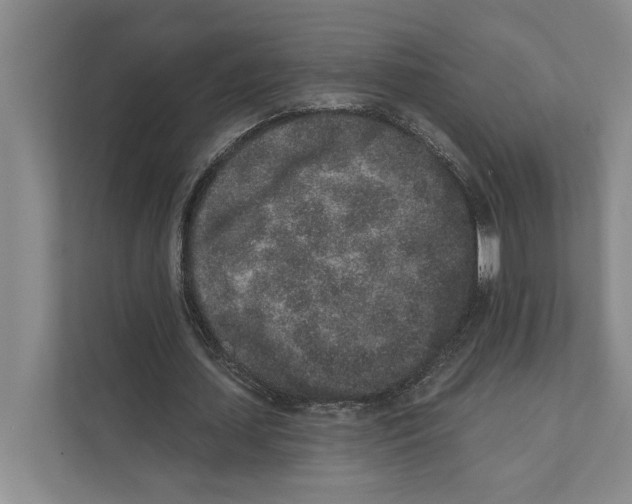 X0000110860627200907161357