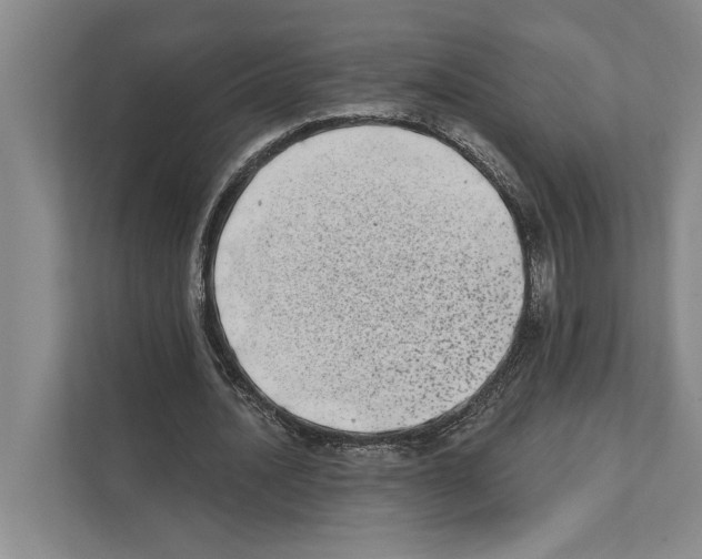 X0000110860628200907161357