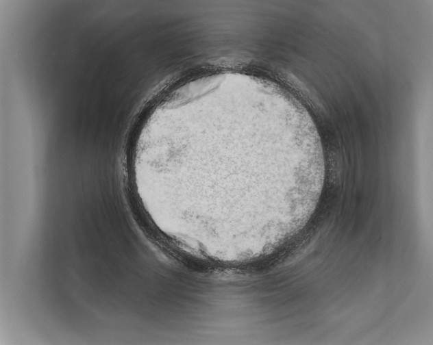 X0000110860634200907161357