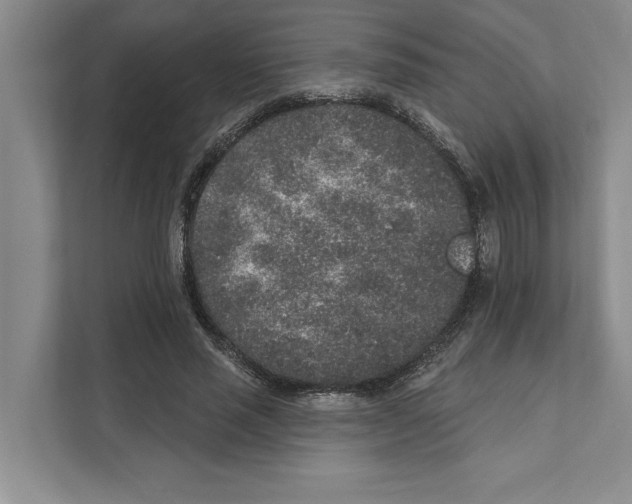 X0000110860637200907161357