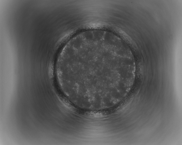X0000110860640200907161357