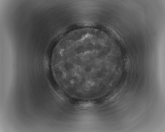 X0000110860643200907161357
