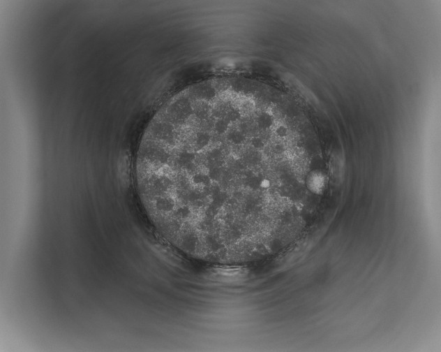 X0000110860659200907161357