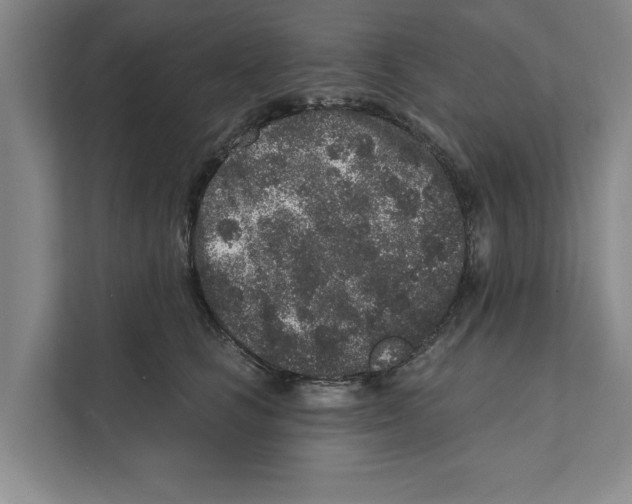 X0000110860661200907161357