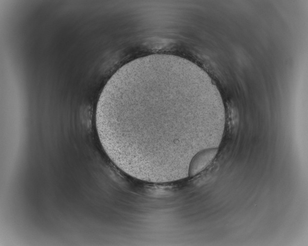 X0000110860664200907161357