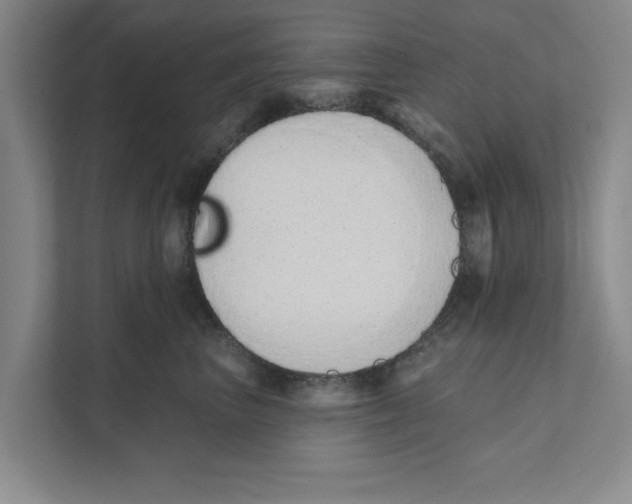 X0000110860667200907161357