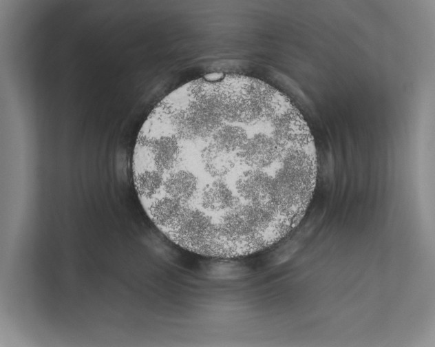 X0000110860669200907161357