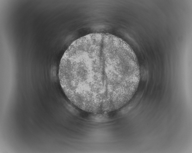X0000110860670200907161358