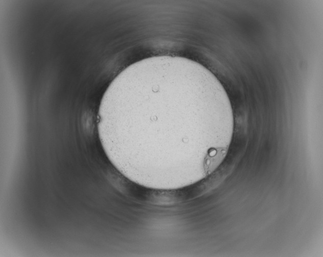 X0000110860671200907161358