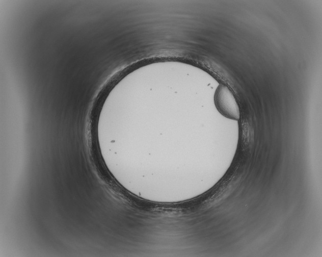 X0000110860676200907161357