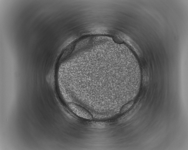 X0000110860677200907161357