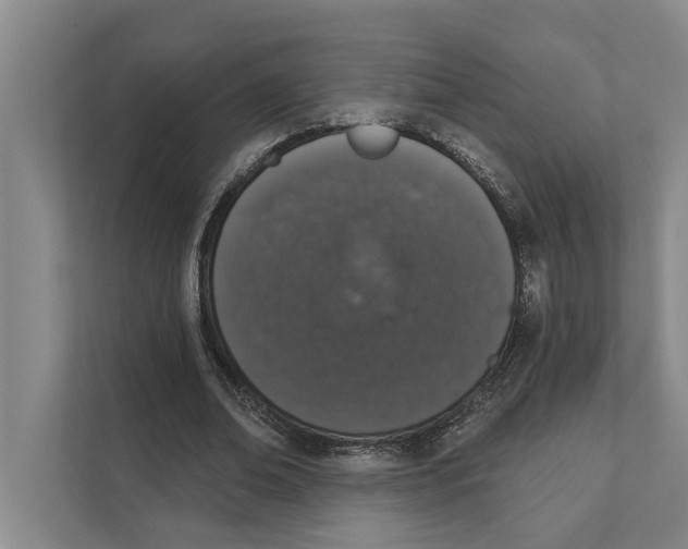 X0000110860678200907161357