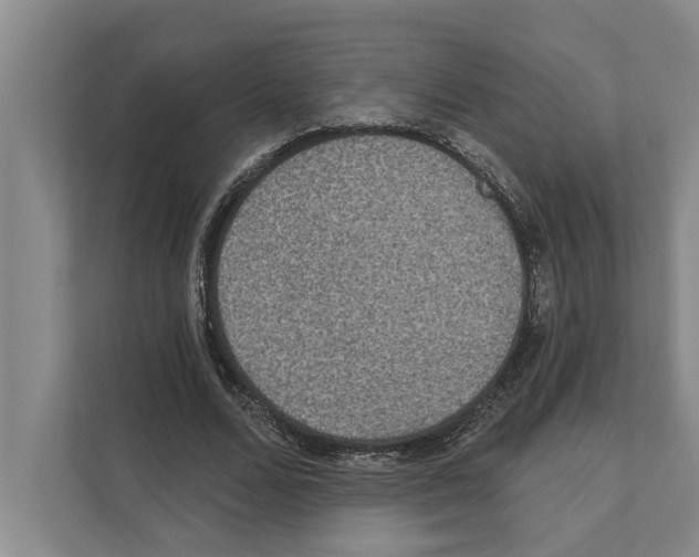 X0000110860680200907161357