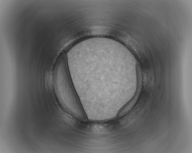 X0000110860684200907161357