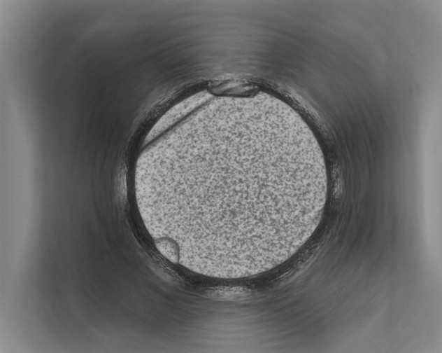 X0000110860685200907161357