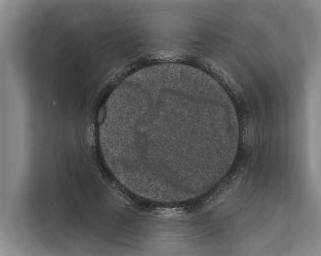 X0000110860689200907161357