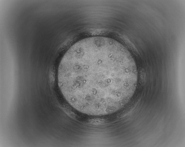 X0000110860691200907161357