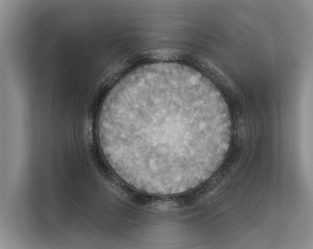 X0000110860696200907161357