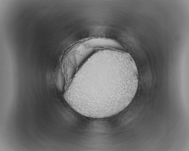 X0000110860708200907161356