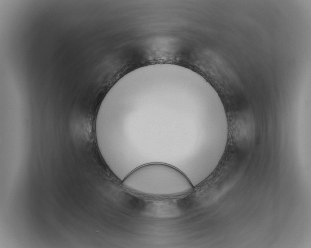 X0000110860709200907161356