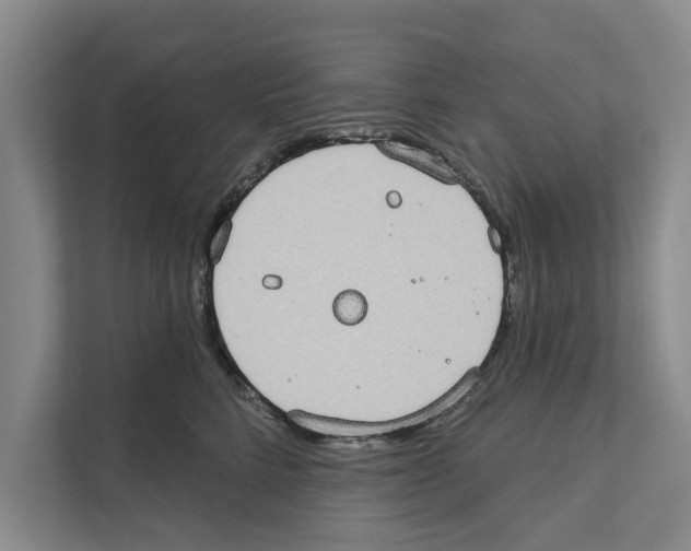 X0000110860712200907161356
