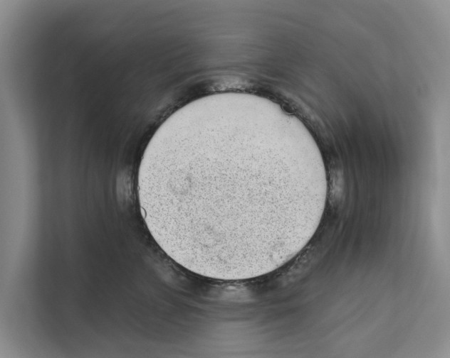 X0000110860715200907161356