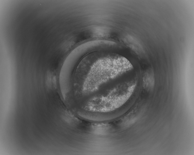 X0000110860716200907161356