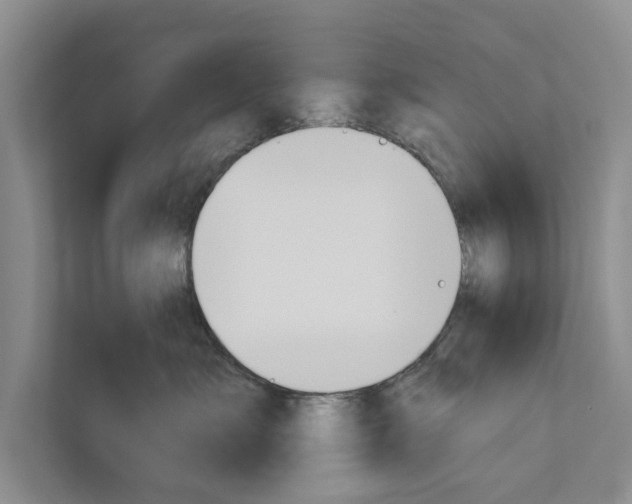 X0000110860717200907161356